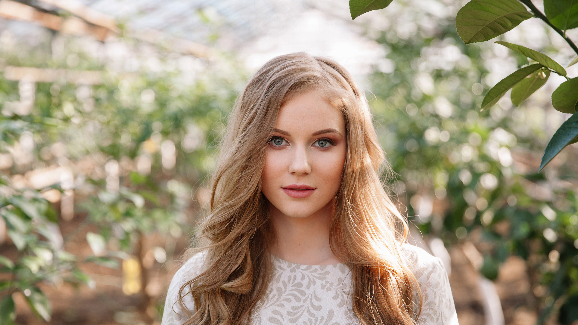 Beauty